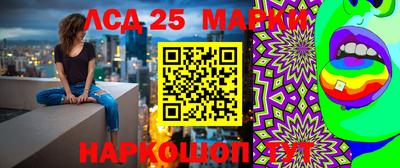 молекула духа Бердск
